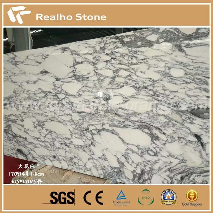 Arabescato Corchia White Marble Slab