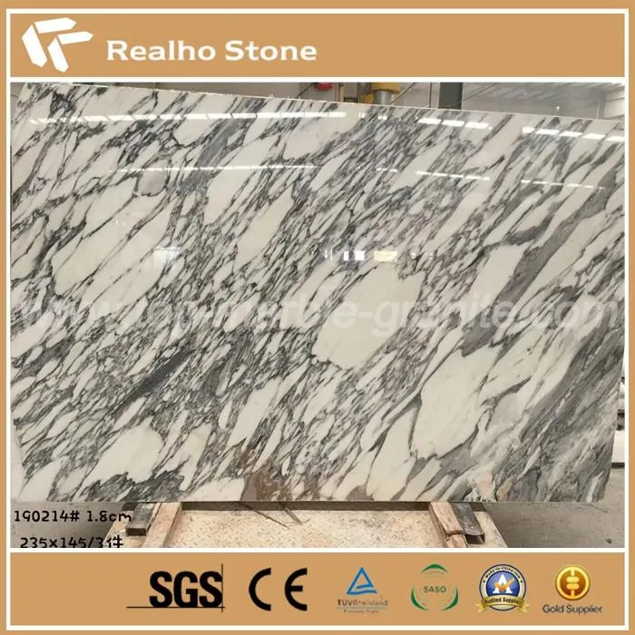 Arabescato Corchia White Marble Slab